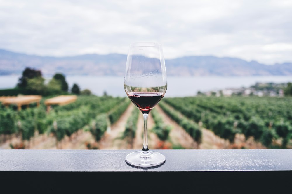 Verre de vin devant des rangs de vigne